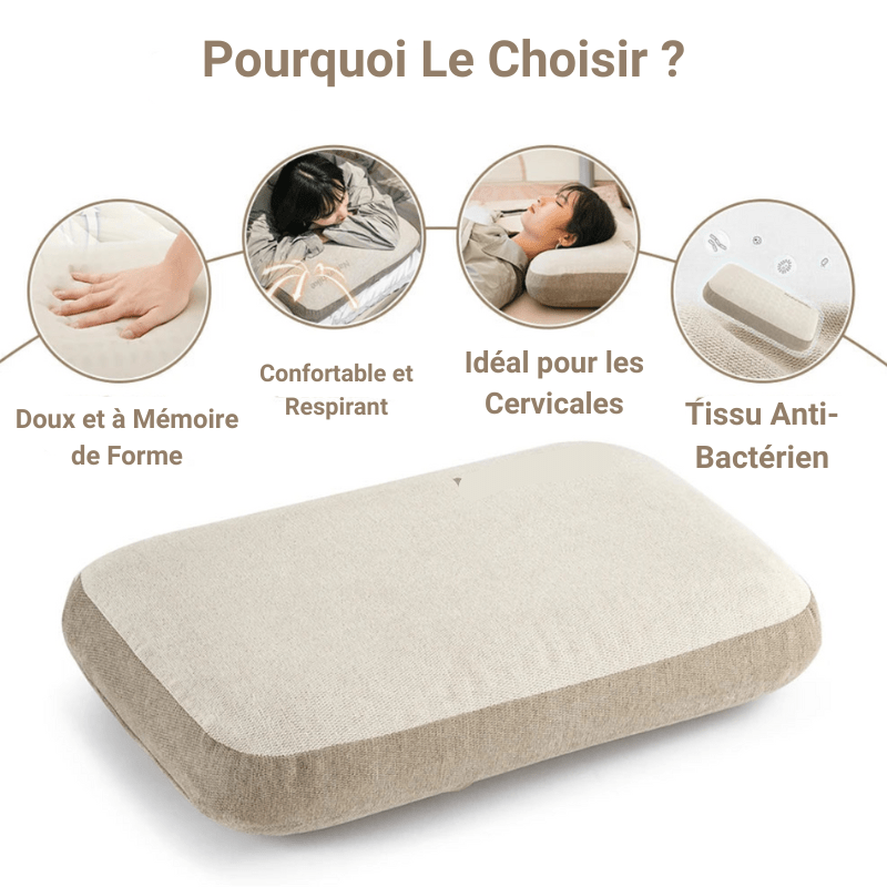 Oreiller de Camping à Mémoire de Forme - DreamPro